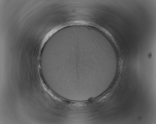 X0000115111373200912081312