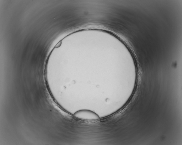 X0000115111374200912081312