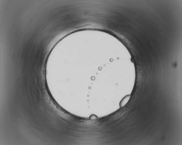 X0000115111375200912081312