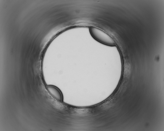 X0000115111376200912081312