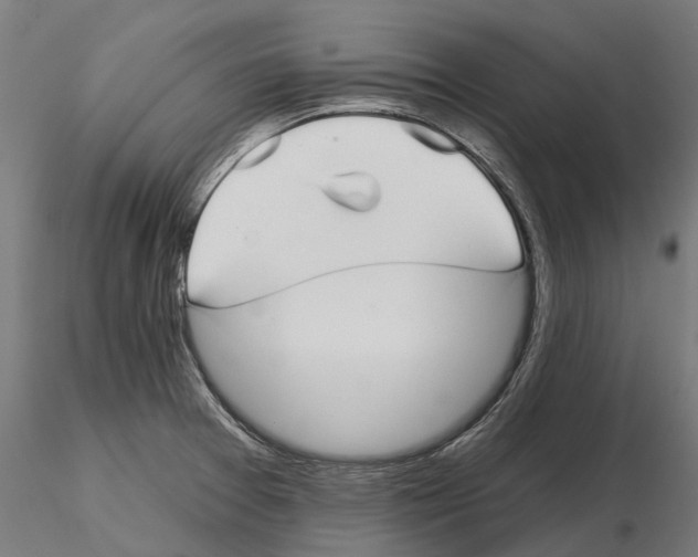 X0000115111377200912081312