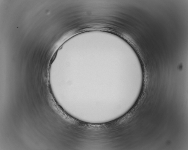 X0000115111378200912081312