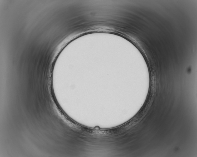 X0000115111379200912081312