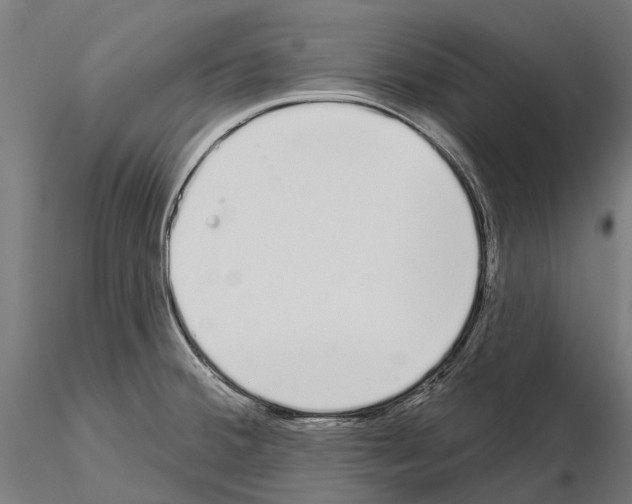 X0000115111380200912081312