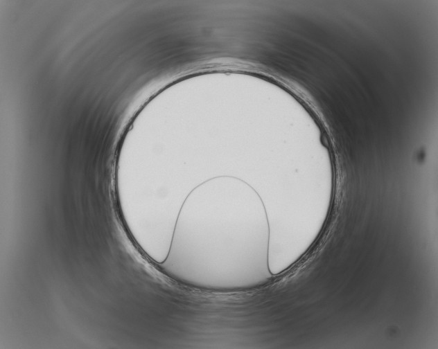 X0000115111381200912081312