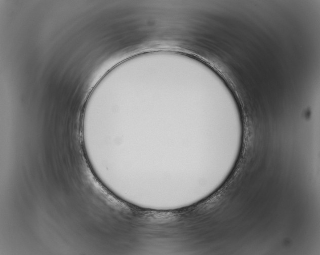 X0000115111382200912081312