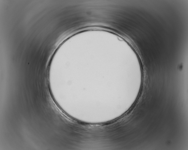 X0000115111384200912081312