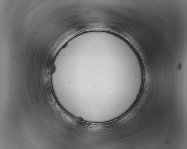 X0000115111385200912081312