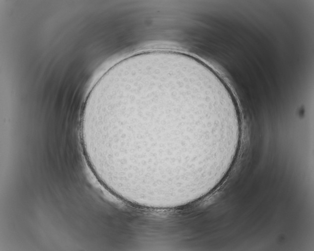 X0000115111390200912081311