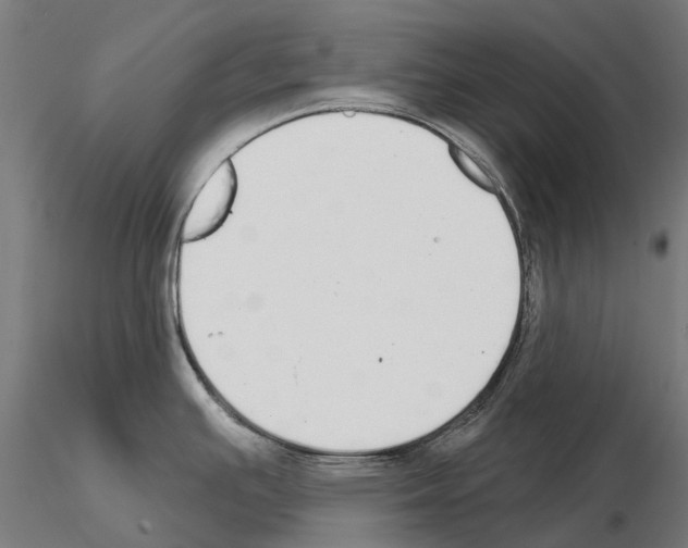 X0000115111391200912081311