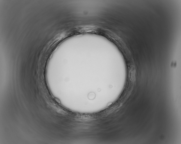 X0000115111393200912081311