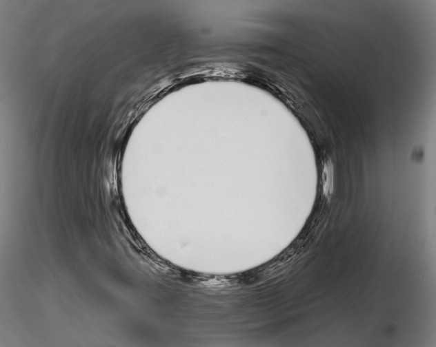 X0000115111395200912081311