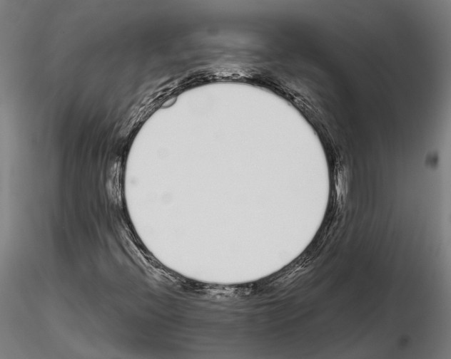 X0000115111396200912081311