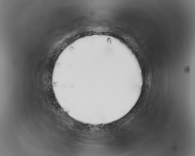 X0000115111398200912081311