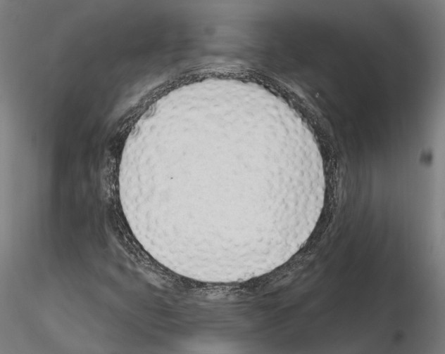 X0000115111399200912081311