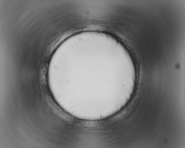 X0000115111401200912081311