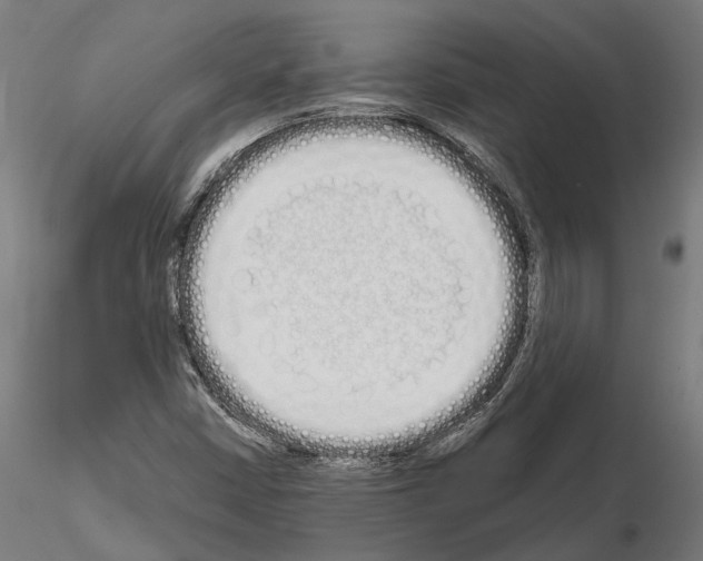 X0000115111402200912081311