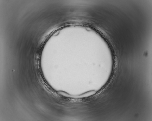 X0000115111403200912081311