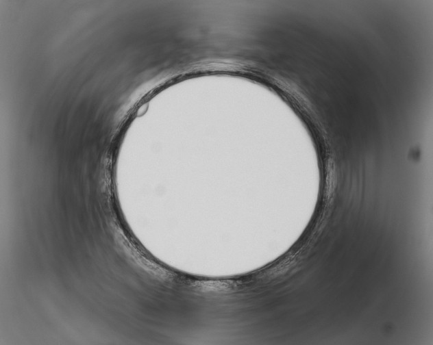 X0000115111404200912081311