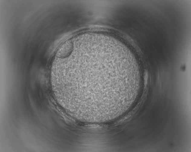 X0000115111405200912081311