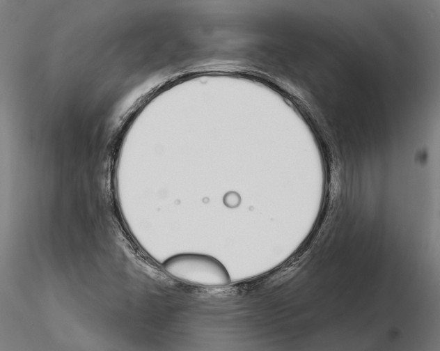 X0000115111406200912081311