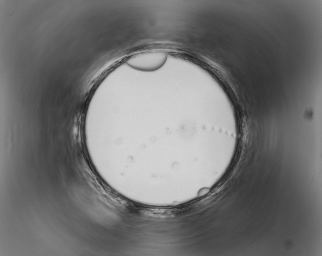 X0000115111407200912081311