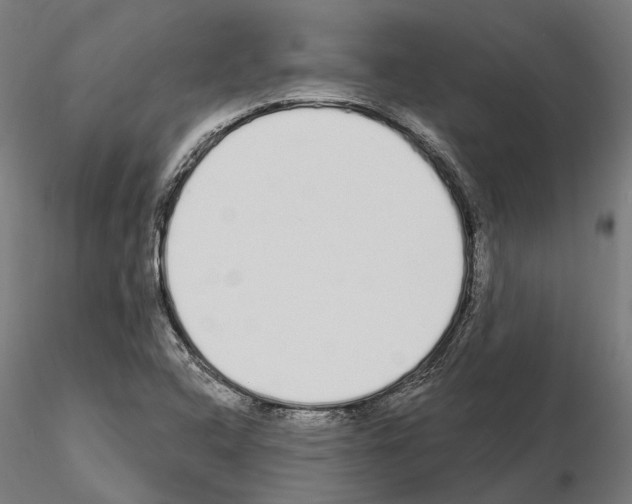 X0000115111408200912081311