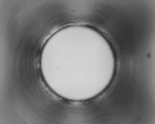 X0000115111409200912081311