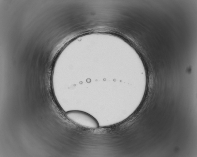 X0000115111410200912081311