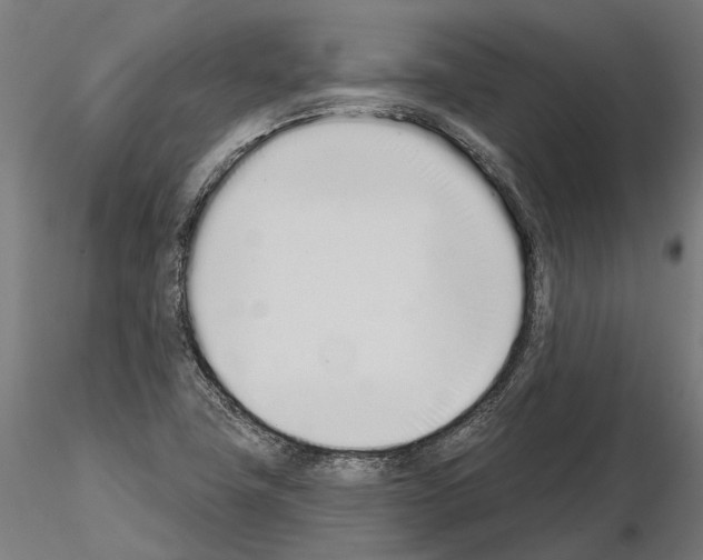 X0000115111411200912081311