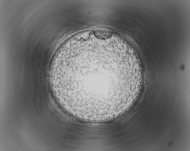 X0000115111412200912081311