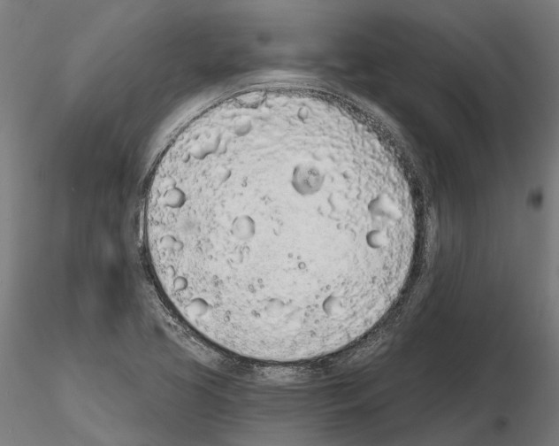 X0000115111413200912081311