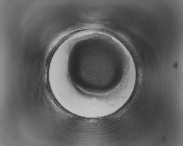 X0000115111414200912081311