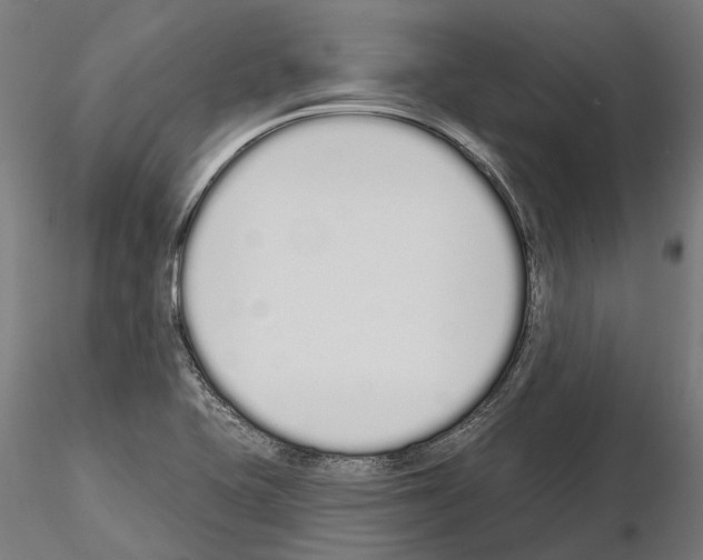 X0000115111415200912081311