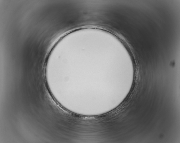 X0000115111416200912081311