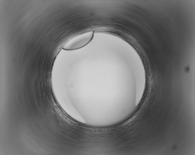 X0000115111417200912081311