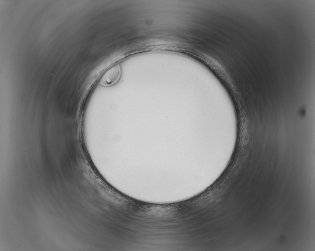 X0000115111419200912081311