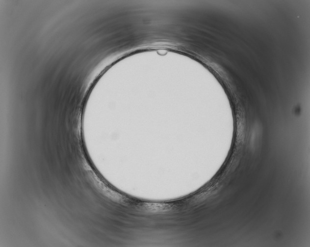 X0000115111420200912081311