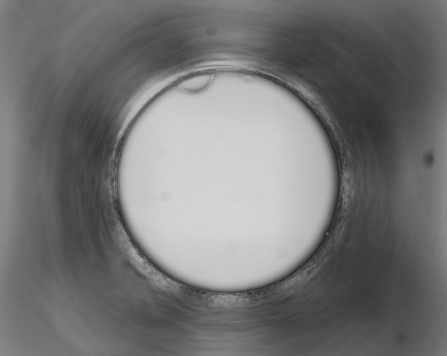 X0000115111421200912081311