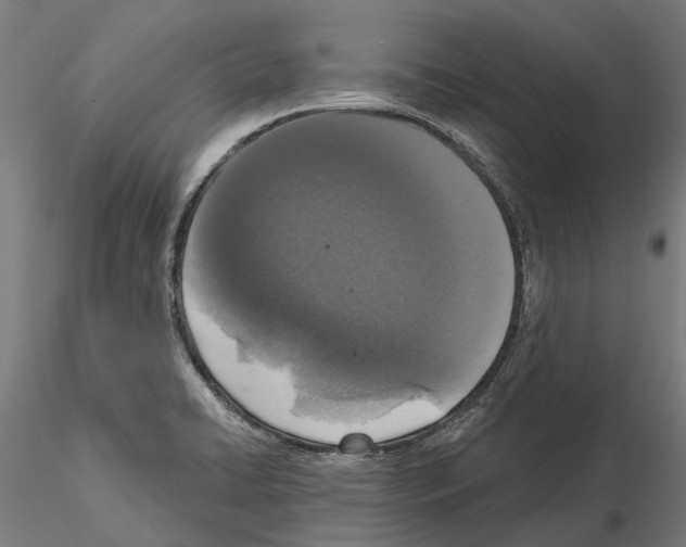 X0000115111422200912081311