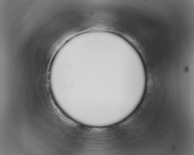 X0000115111423200912081311