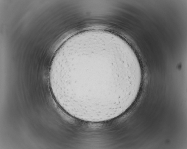 X0000115111425200912081311