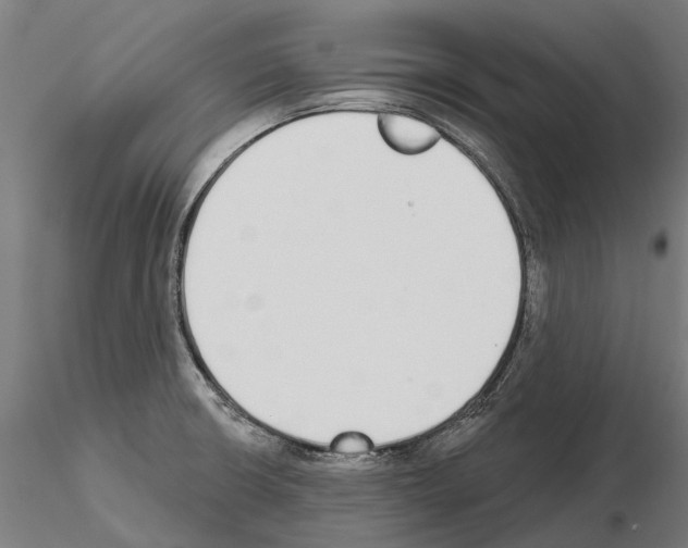 X0000115111426200912081311