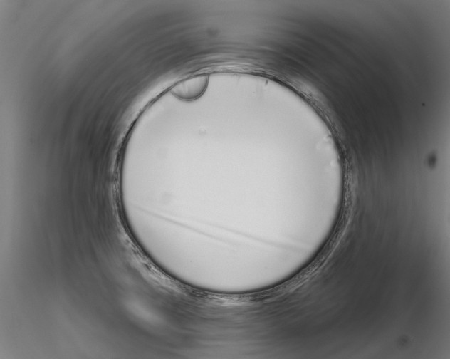 X0000115111427200912081311