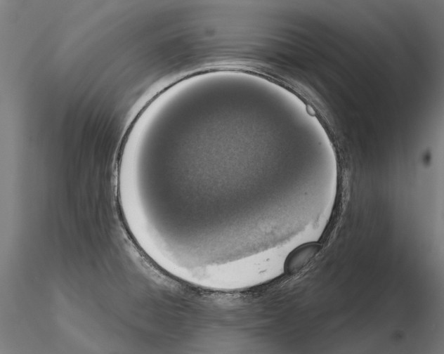 X0000115111428200912081311