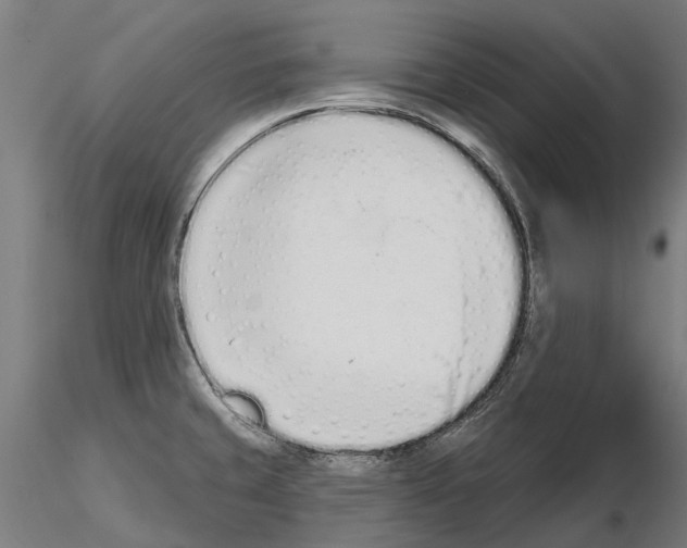 X0000115111429200912081311