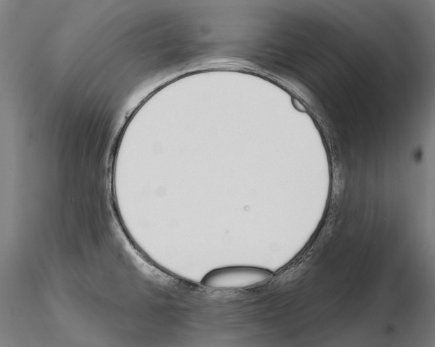 X0000115111430200912081311