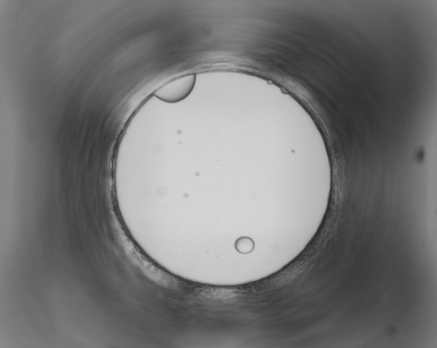 X0000115111431200912081311