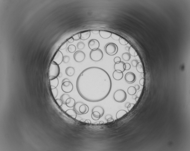 X0000115111432200912081311