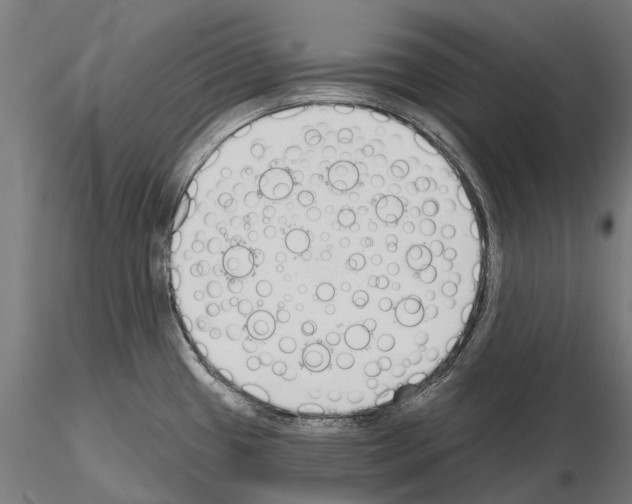 X0000115111433200912081311